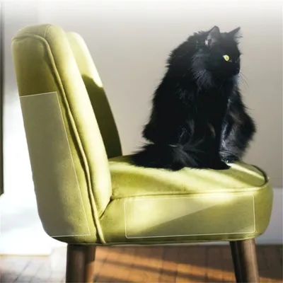 Pet Planet Ruban protecteur anti-griffures en PVC pour canapé Pet Planet Ruban protecteur anti-griffures en PVC pour canapé