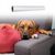 Pet Planet Ruban protecteur anti-griffures en PVC pour canapé
