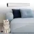 Pet Planet Ruban protecteur anti-griffures en PVC pour canapé Pet Planet Ruban protecteur anti-griffures en PVC pour canapé