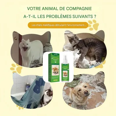 Pet Planet Spray anti-morsure pour animaux de compagnie