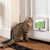 IntiMeg Chatière pour chat et petits chiens