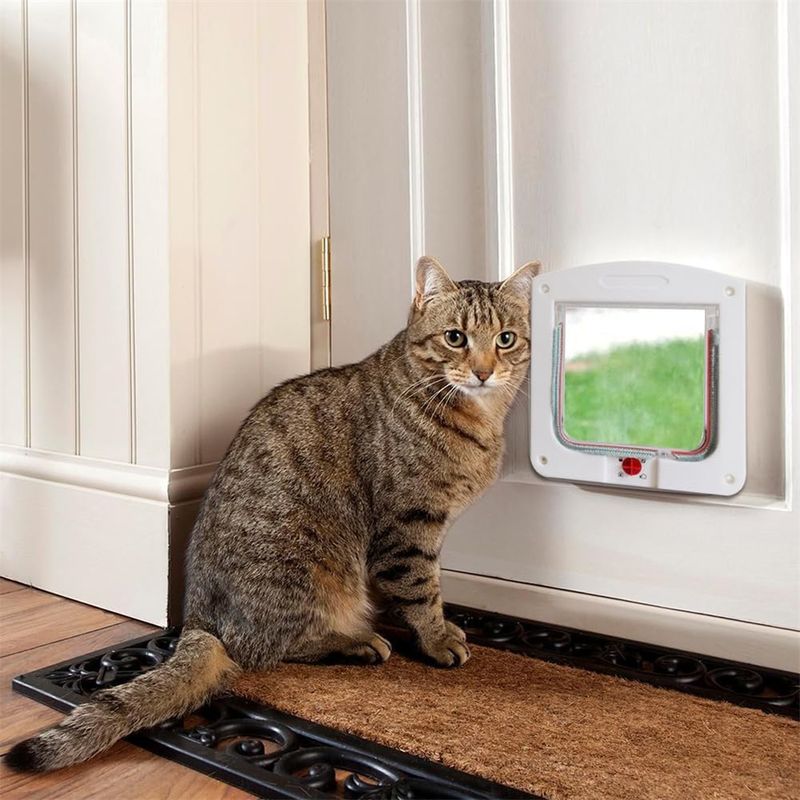 IntiMeg Chatière pour chat et petits chiens