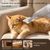 Petopia Aspirateur à poils pour chats et chiens