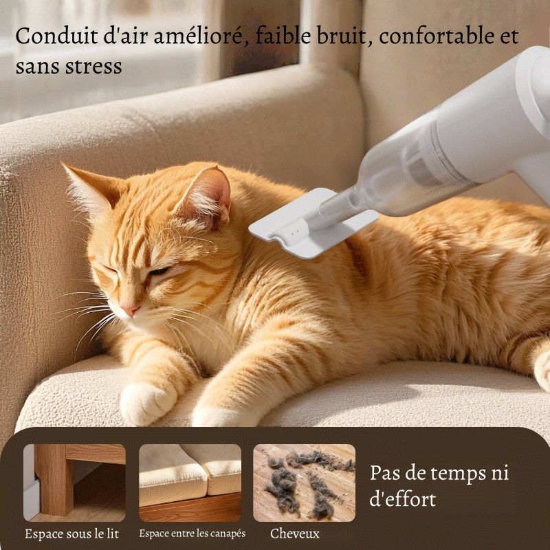 Petopia Aspirateur à poils pour chats et chiens