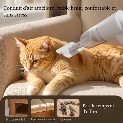 Petopia Aspirateur à poils pour chats et chiens