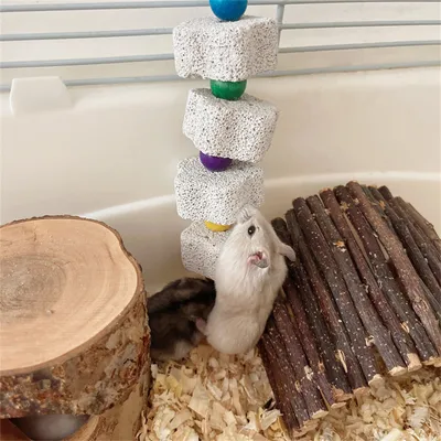 Pet Planet Graines de mâchage en pierre volcanique naturelle