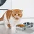 UAMLY Gamelles pour chat en acier inoxydable, avec support en acrylique