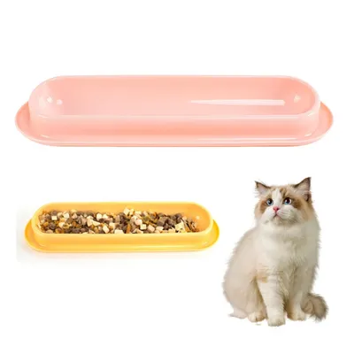 Pet Planet Gamelle anti-fourmis pour chat