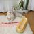 Pet Planet Gamelle anti-fourmis pour chat