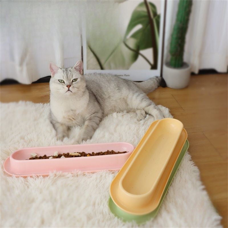 Pet Planet Gamelle anti-fourmis pour chat