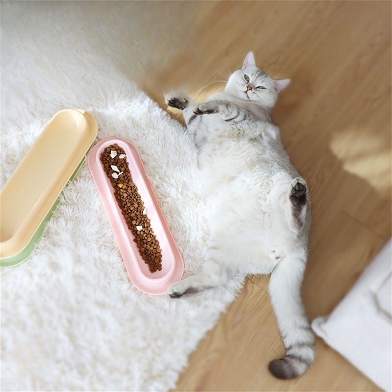 Pet Planet Gamelle anti-fourmis pour chat