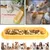 Pet Planet Gamelle anti-fourmis pour chat