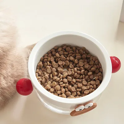 Petopia Jouet pour chien, mordant et bruissant