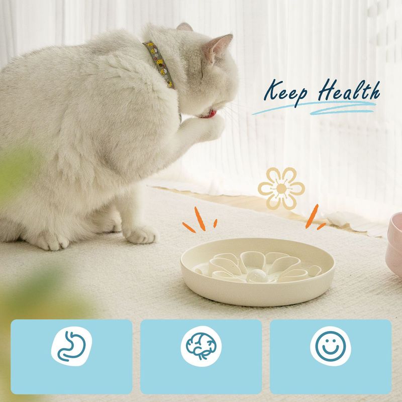 UAMLY Gamelle anti-glouton pour chat