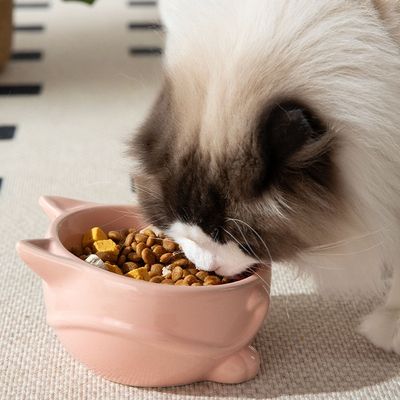 Petopia Bol en céramique pour chat