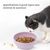 Petopia Bol anti - glouton en silicone pour chiens et chats