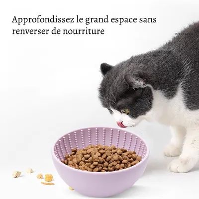 Petopia Bol anti - glouton en silicone pour chiens et chats