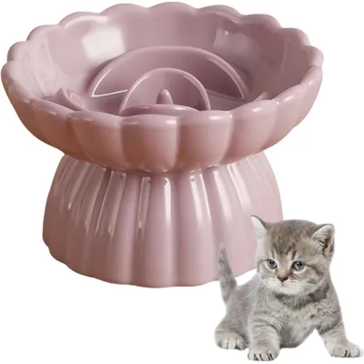 UAMLY Gamelle surélevée anti-avalement en céramique pour chat
