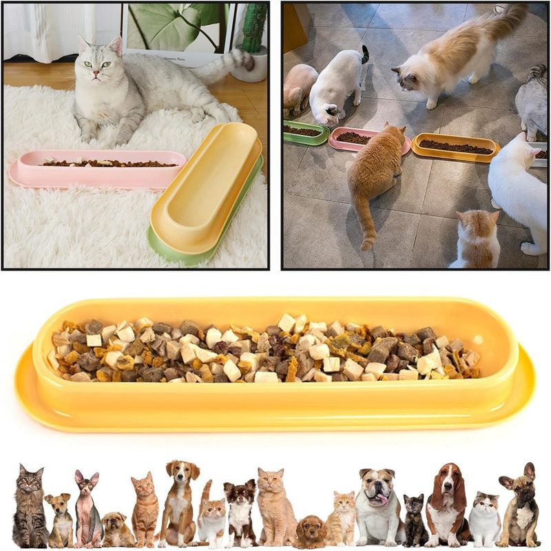 Pet Planet Gamelle anti-fourmis pour chat