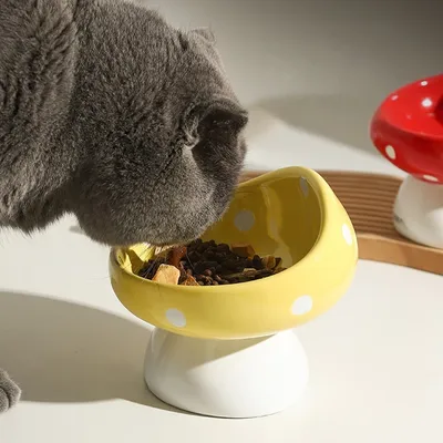 Petopia Gamelle en céramique pour chats