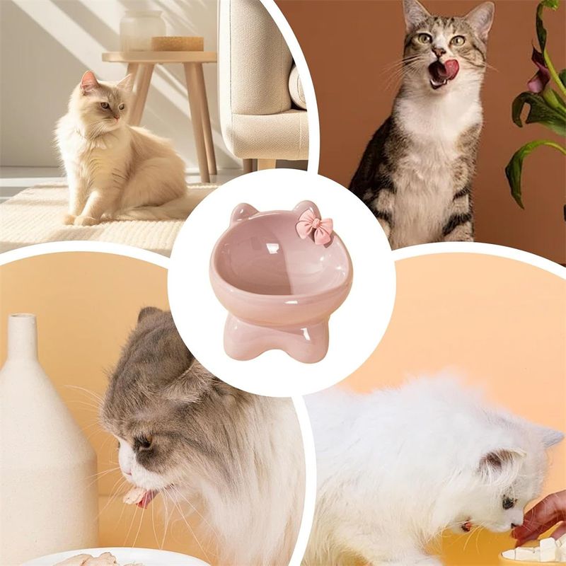 Petopia Bol en céramique pour chat avec ruban