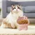 Petopia Bol en céramique pour chat avec ruban