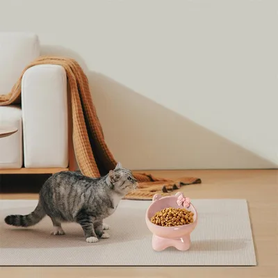 Petopia Bol en céramique pour chat avec ruban