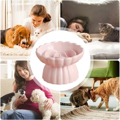 UAMLY Gamelle surélevée anti-avalement en céramique pour chat