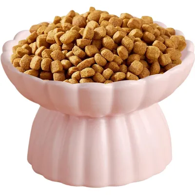 UAMLY Gamelle surélevée anti-avalement en céramique pour chat