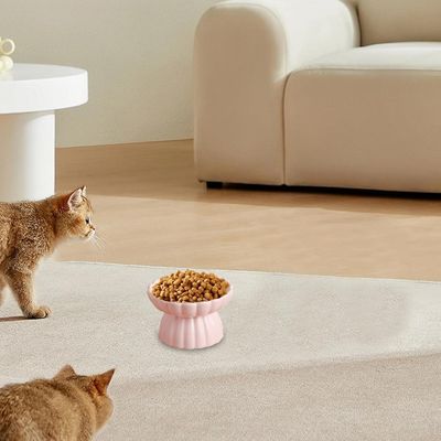 UAMLY Comedero elevado de cerámica antitragantamiento para gatos