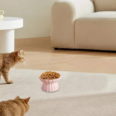 UAMLY Gamelle surélevée anti-avalement en céramique pour chat