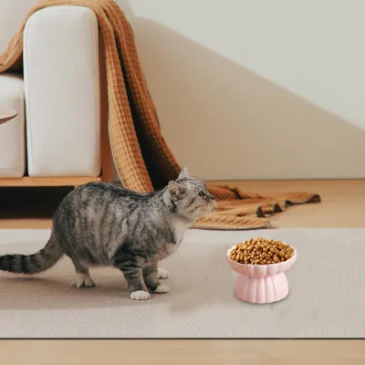 UAMLY Comedero elevado de cerámica antitragantamiento para gatos
