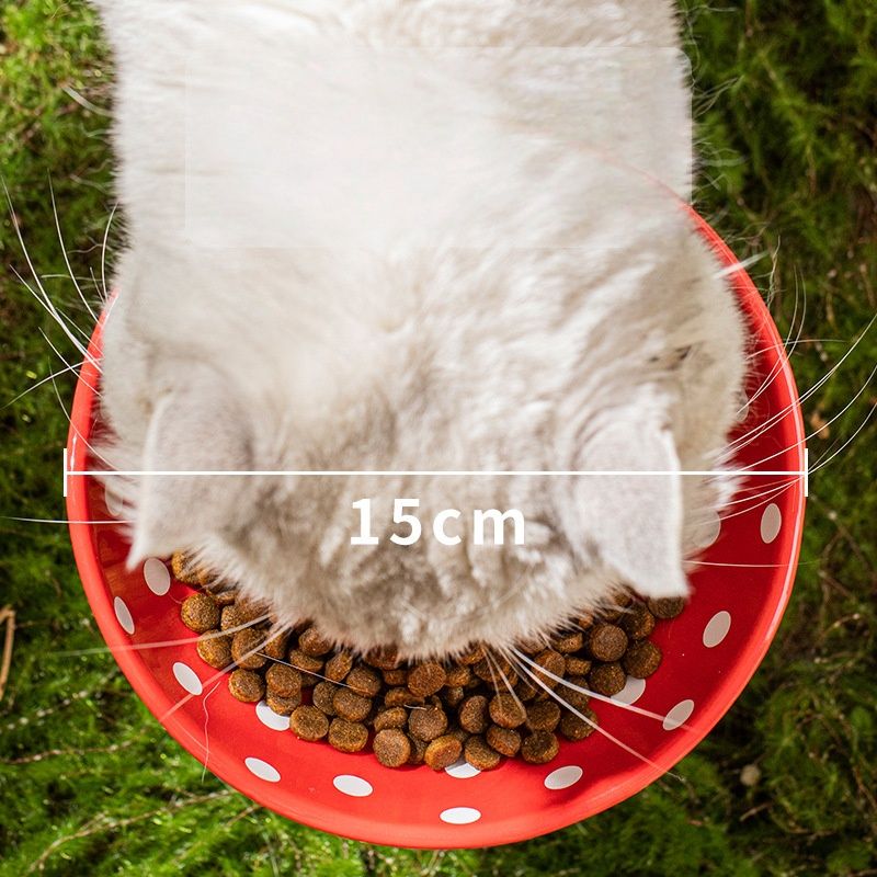 Petopia Gamelle en céramique pour chat
