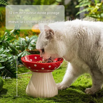 Petopia Gamelle en céramique pour chat