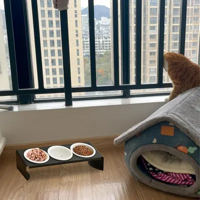 UAMLY Gamelle surélevée 3 en 1 pour chat en céramique