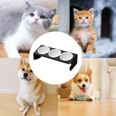 UAMLY Gamelle surélevée 3 en 1 pour chat en céramique