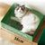 Pet Planet Boîte à litière jetable pour chat
