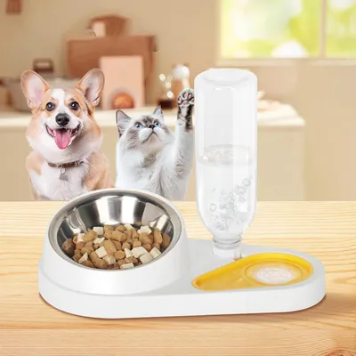 UAMLY Ensemble de gamelles doubles pour chat, avec bouteille d'eau