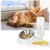 UAMLY Ensemble de gamelles doubles pour chat, avec bouteille d'eau