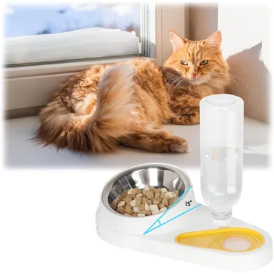 UAMLY Ensemble de gamelles doubles pour chat, avec bouteille d'eau