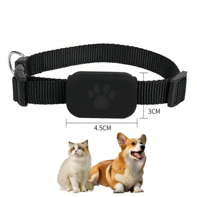 Pet Planet Localisateur pour chats et chiens
