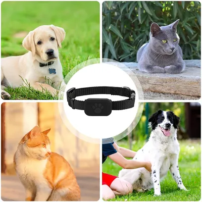 Pet Planet Localisateur pour chats et chiens