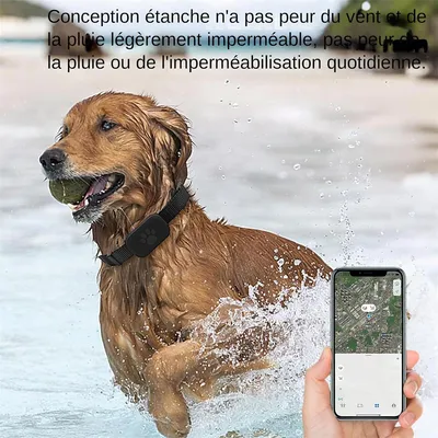 Pet Planet Localisateur pour chats et chiens