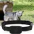 Pet Planet Localisateur pour chats et chiens