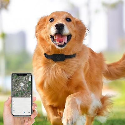 Pet Planet Localisateur pour chats et chiens