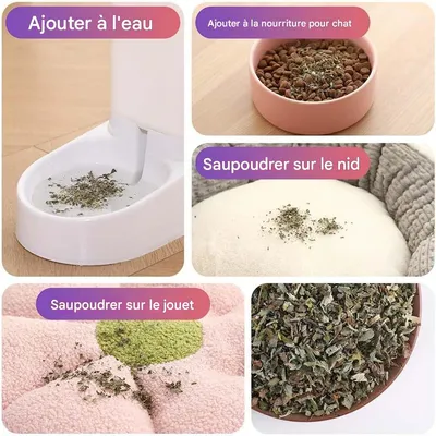 IntiMeg Herbe à chat naturelle