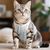 IntiMeg Vetement de stérilisation pour chat