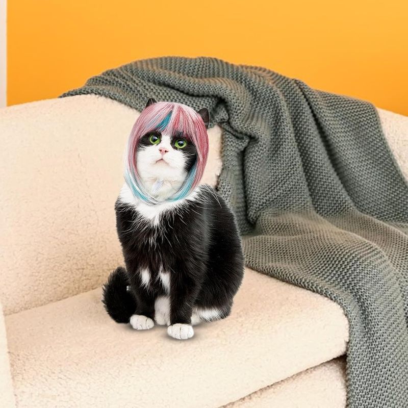 Perruque pour animaux: Simili-cheveux réaliste, ajustable
