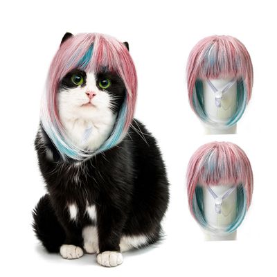 Perruque pour animaux: Simili-cheveux réaliste, ajustable