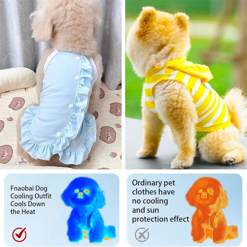 IntiMeg jupe d'Été Rafraîchissante pour Chien et Chat